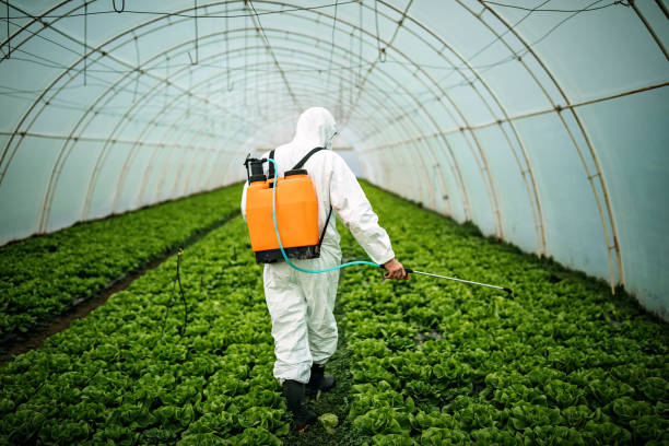 Best Residential Pest Control  in Brown Deer, WI