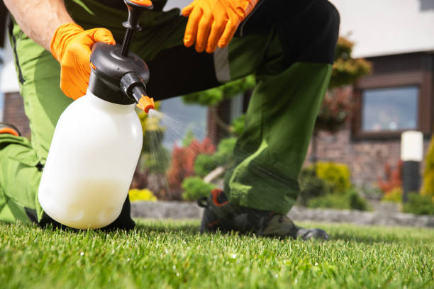 Best Termite Control Services  in Brown Deer, WI